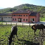 Cornolere *