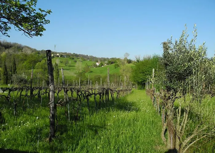 Gospodarstwo agroturystyczne Cornolere Castelcucco